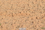 231104A-102752-01370