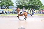 D-462-Gemma.Stevens-CHILLI.KING portfolio
