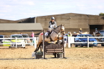 SBM_003432
