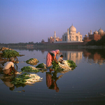 Family cleaning vegetables at Taj Mahal,  Agra, India