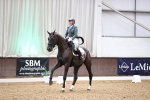 SBM_009239