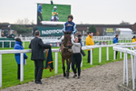151124-Race 3-Edwardstone-7786