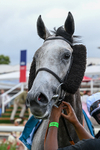 250726-Race 6-Likealot-1267