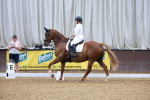 SBM_001689