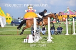 CLASS 6 Nisbets Fresh From The Farm & The Golf Inn 1.00m Amateur Championship portfolio