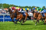 040526-Race 5-Copper Knight-2622