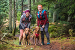 Glentress-2415