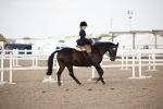 SBM_09198