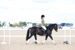 SBM_15767