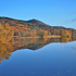 Reflecting on Autumn