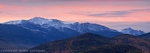 Presidentials in Pastel