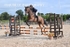 BPP_9639