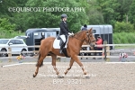 BPP_9321