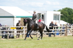 SBM_16177