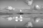 DSCF9677