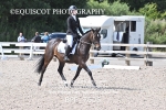 BPP_7605