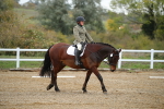 SBM_000262