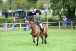 SBM_46864