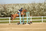 SBM_002729