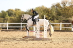SBM_000540