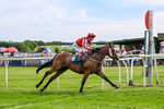 300526-Race 5-Holbache-0696