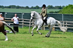 SBM_07921