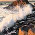 Giant's Causeway Standing Firm