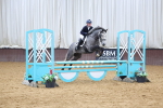 Class 18 - Blue Chip Pony Newcomers 1.00m Open portfolio