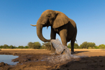 Spraying Water 3