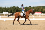 SBM_002883