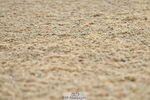 230708A-093934-02187