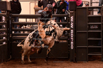 2021 Flying B Youth Bull Riding Series Finals portfolio