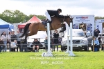 BPP_6004