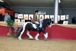 SBM_05561