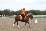 SBM_000829