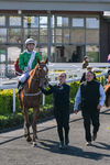 220426-Race 4-Borjina-0524