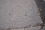 SBM_008289