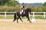 SBM_000435