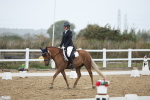 SBM_004330