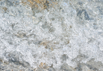 SPLASH #42 - BRUCE COUNTY