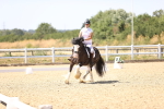 SBM_012291
