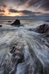 Coast Carving
