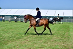SBM_03745