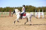 SBM_003427