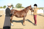 SBM_00036