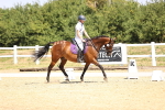 SBM_003731