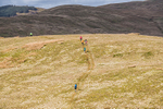 Jefferys Mount-222