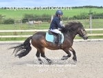 BPP_1554