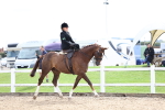 SBM_03296