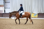 SBM_000260